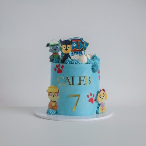 Paw patrol cake – Custom Kids Birthday Cake | Cake and All, Glasgow